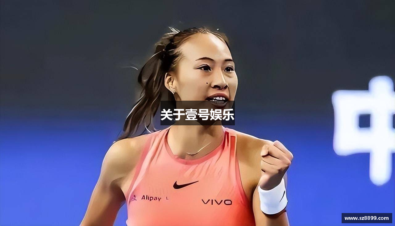 关于壹号娱乐